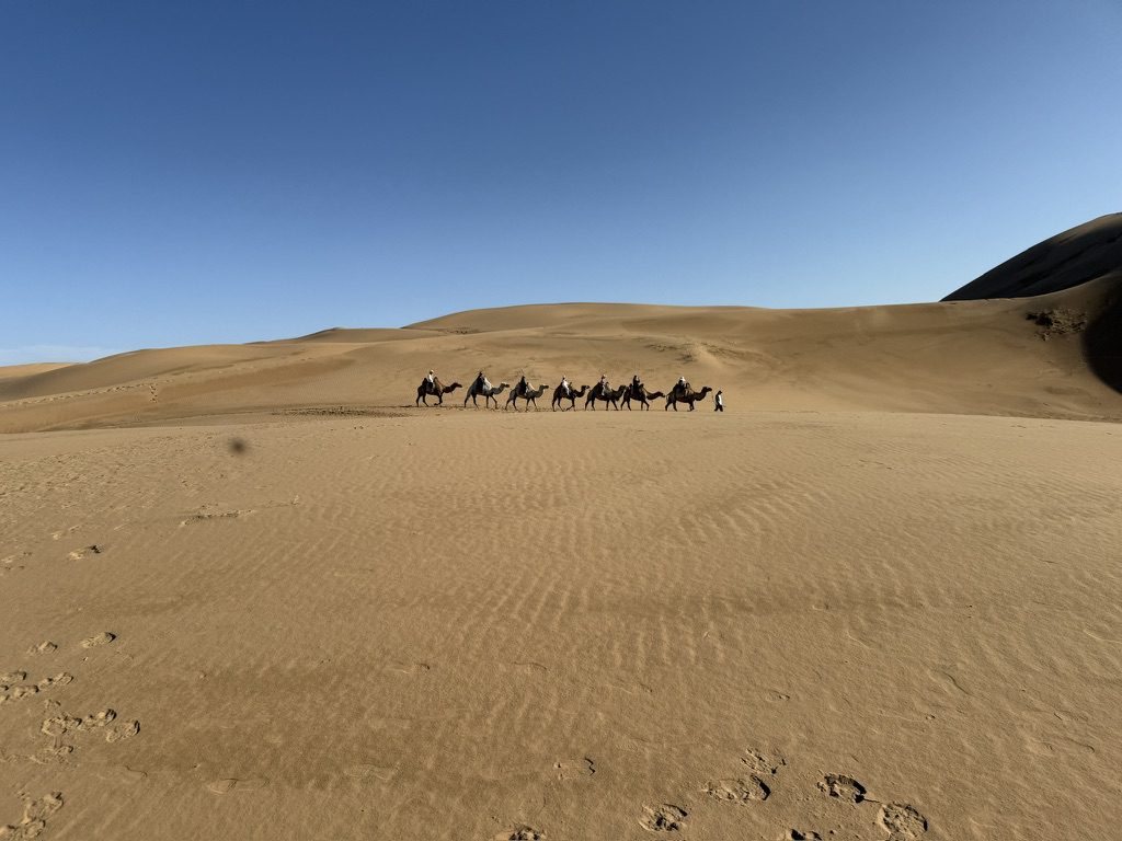 內蒙古 響沙灣 希拉穆仁大草原8日