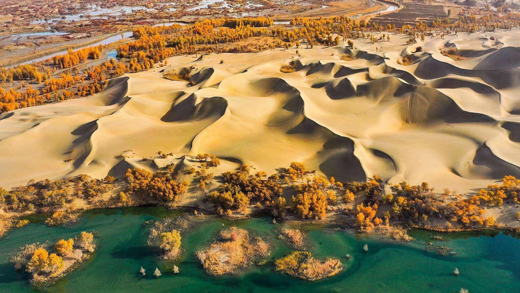 塔克拉瑪干大沙漠