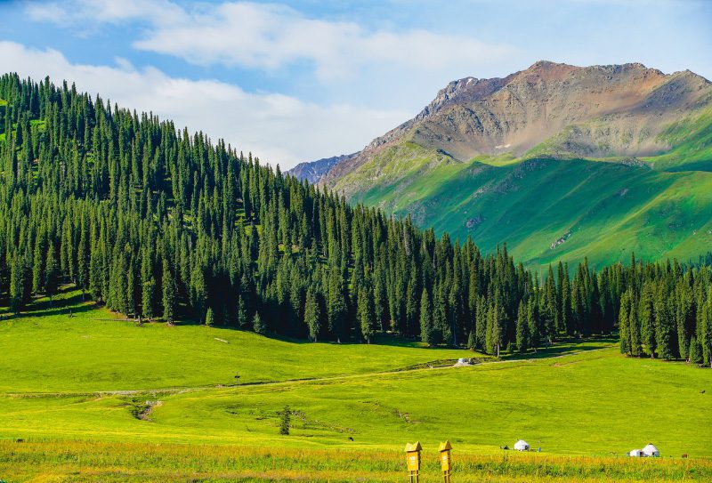 那拉提空中草原