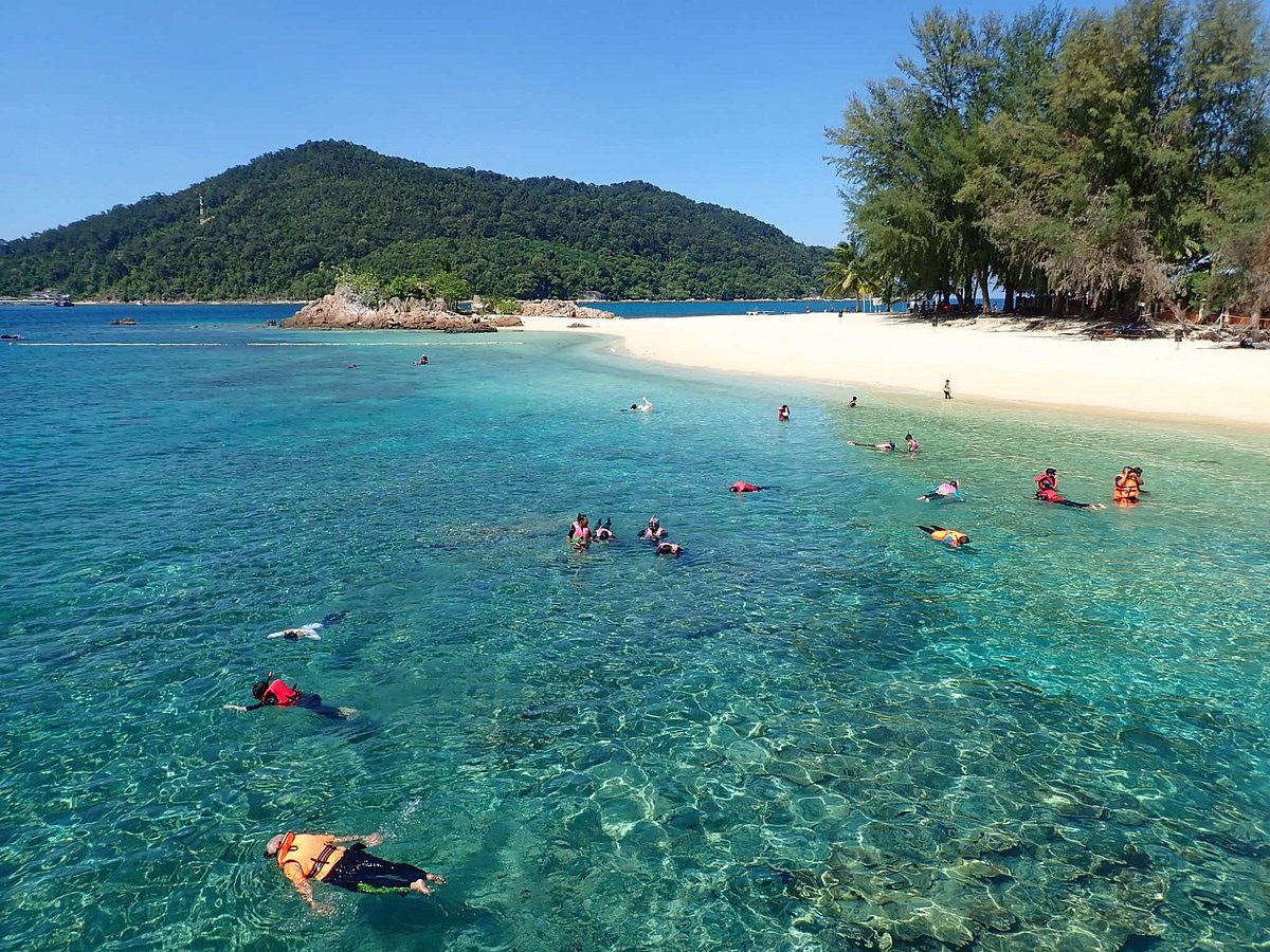 海洋公園餵魚與浮潛體驗