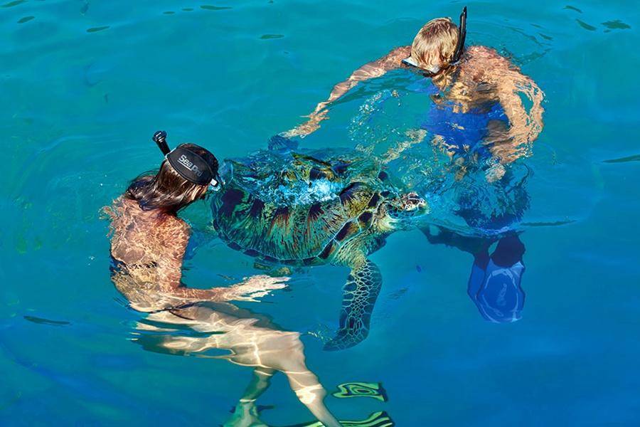 清澈透明的浮潛海域